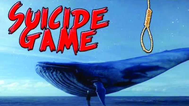 blue whale facts in hindi