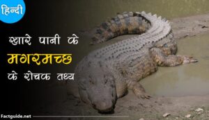 crocodile facts in hindi