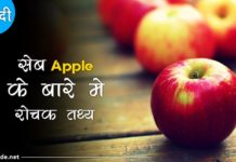 apple fruit facts in hindi