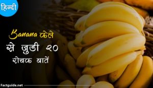 banana facts in hindi