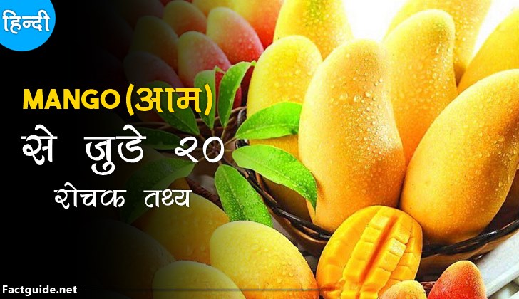 आम से जुड़े 20 रोचक तथ्य | Mango facts in hindi