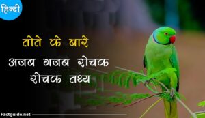 parrot facts in hindi