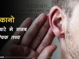 ear facts in hindi