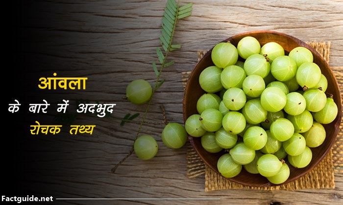 gooseberry facts In hindi