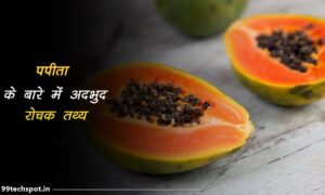 papaya facts in hindi