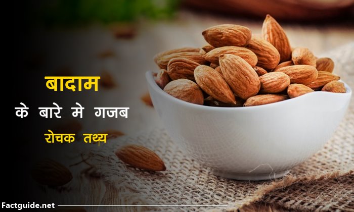 बादाम के बारे में 19 रोचक बाते  | Almond Facts in Hindi