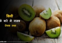 Kiwi fruit facts in hindi