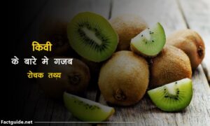 Kiwi fruit facts in hindi