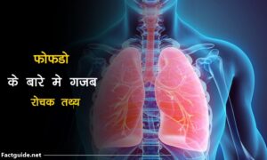 lungs facts in hindi
