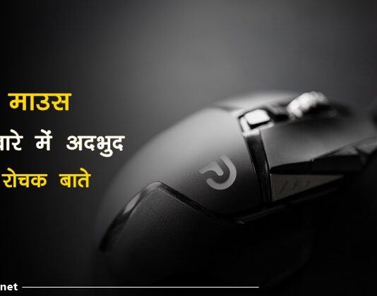 mouse facts In Hindi