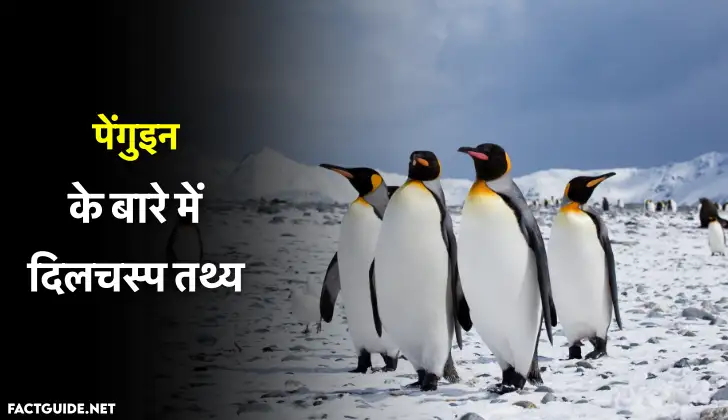 [Top 25+] – Penguin Facts In Hindi – पेंगुइन के बारे में दिलचस्प रोचक तथ्य